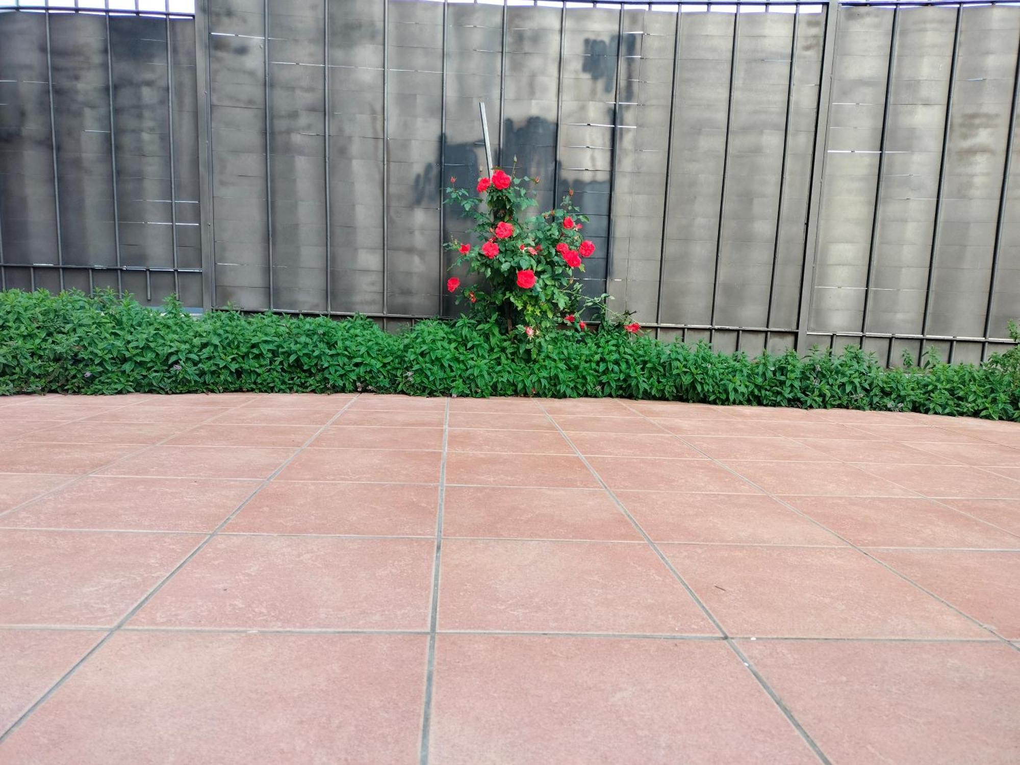 הוילה קואנקה La Casa De Nerea מראה חיצוני תמונה